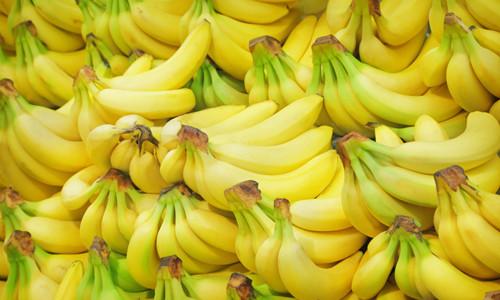 介绍香蕉的作文500字