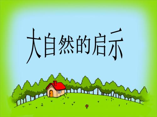 大自然的启示500字作文